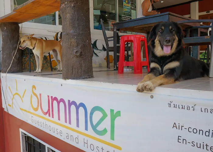 Summer Guesthouse And Hostel เกาะเต่า